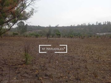 Terreno en venta en Charo a pie de carretera