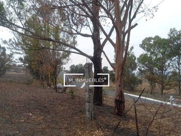 Terreno en venta en Charo a pie de carretera