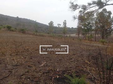 Terreno en venta en Charo a pie de carretera