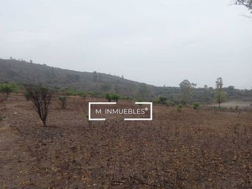 Terreno en venta en Charo a pie de carretera
