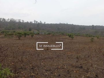 Terreno en venta en Charo a pie de carretera