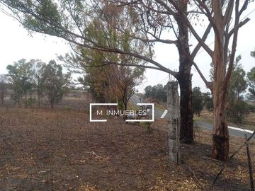 Terreno en venta en Charo a pie de carretera