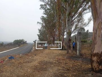 Terreno en venta en Charo a pie de carretera