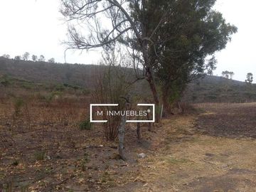 Terreno en venta en Charo a pie de carretera