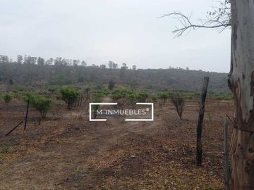 Terreno en venta en Charo a pie de carretera