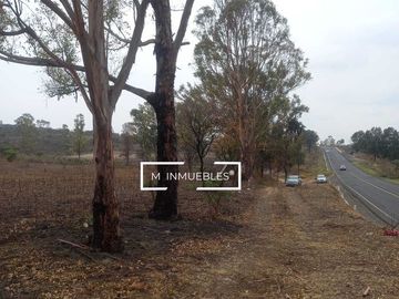 Terreno en venta en Charo a pie de carretera