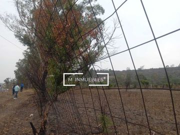 Terreno en venta en Charo a pie de carretera