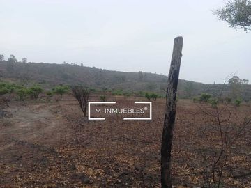 Terreno en venta en Charo a pie de carretera