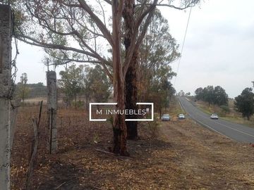 Terreno en venta en Charo a pie de carretera