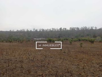 Terreno en venta en Charo a pie de carretera