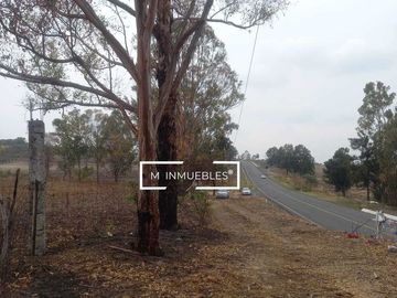 Terreno en venta en Charo a pie de carretera