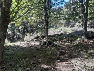 SECTOR PUERTO SANCHEZ 12 HA