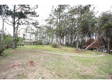 CERRO AZUL / ALTOS DEL CASTILLO / 4000 M2 / CASA CAMPESTRE