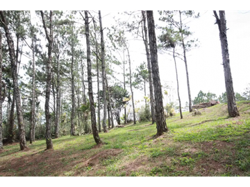 CERRO AZUL / ALTOS DEL CASTILLO / 4000 M2 / CASA CAMPESTRE