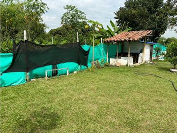 Finca de 1.000m2 en venta Santa Elena El Cerrito Valle Colombia