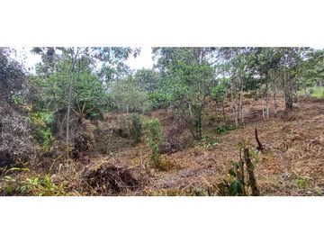 Venta Lote en alto Dapa Yumbo Valle del Cauca