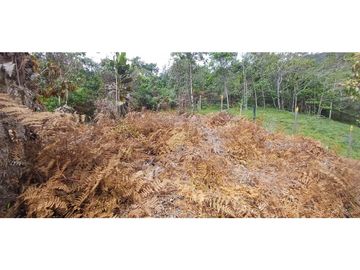 Venta Lote en alto Dapa Yumbo Valle del Cauca