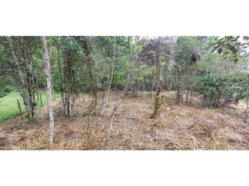 Venta Lote en alto Dapa Yumbo Valle del Cauca