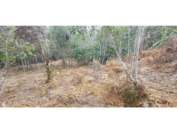 Venta Lote en alto Dapa Yumbo Valle del Cauca