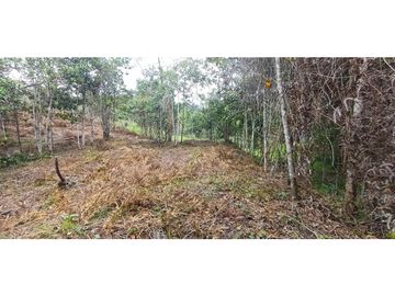 Venta Lote en alto Dapa Yumbo Valle del Cauca