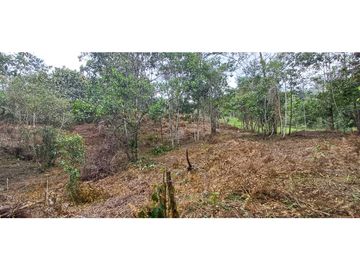 Venta Lote en alto Dapa Yumbo Valle del Cauca