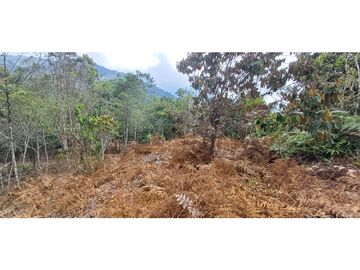 Venta Lote en alto Dapa Yumbo Valle del Cauca