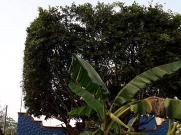 SE VENDE ACOGEDORA CASITA JIUTEPEC