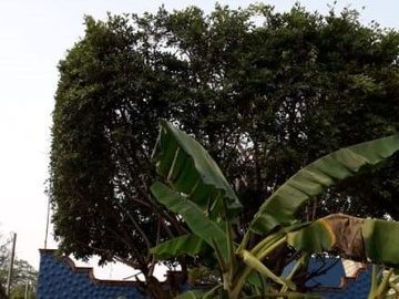 VENDE CASA JIUTEPEC