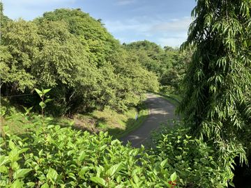 VENTA DE FINCA EN HERRERA, SECTOR OCU A ORILLA DE CARRETERA