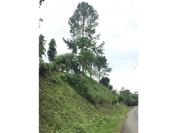 VENTA DE FINCA EN HERRERA, SECTOR OCU A ORILLA DE CARRETERA