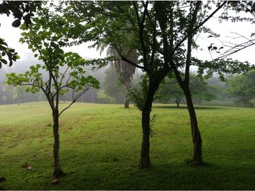 VENTA DE FINCA EN HERRERA, SECTOR OCU A ORILLA DE CARRETERA
