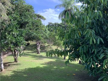 VENTA DE FINCA EN HERRERA, SECTOR OCU A ORILLA DE CARRETERA