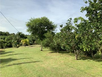 VENTA DE FINCA EN HERRERA, SECTOR OCU A ORILLA DE CARRETERA