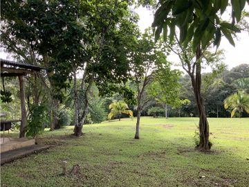 VENTA DE FINCA EN HERRERA, SECTOR OCU A ORILLA DE CARRETERA