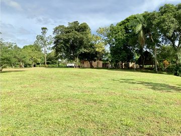 VENTA DE FINCA EN HERRERA, SECTOR OCU A ORILLA DE CARRETERA
