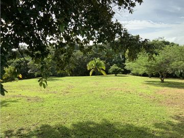 VENTA DE FINCA EN HERRERA, SECTOR OCU A ORILLA DE CARRETERA