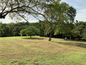 VENTA DE FINCA EN HERRERA, SECTOR OCU A ORILLA DE CARRETERA