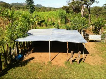 VENTA DE FINCA EN HERRERA, SECTOR OCU A ORILLA DE CARRETERA