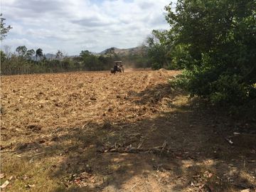 VENTA DE FINCA EN HERRERA, SECTOR OCU A ORILLA DE CARRETERA