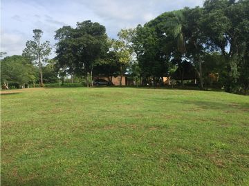 VENTA DE FINCA EN HERRERA, SECTOR OCU A ORILLA DE CARRETERA