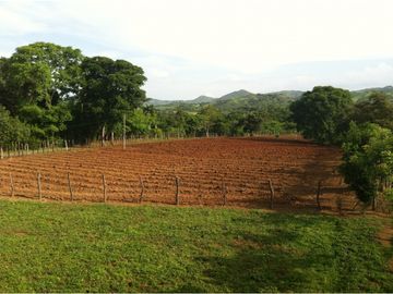 VENTA DE FINCA EN HERRERA, SECTOR OCU A ORILLA DE CARRETERA