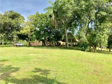 VENTA DE FINCA EN HERRERA, SECTOR OCU A ORILLA DE CARRETERA