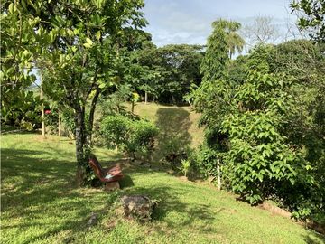 VENTA DE FINCA EN HERRERA, SECTOR OCU A ORILLA DE CARRETERA