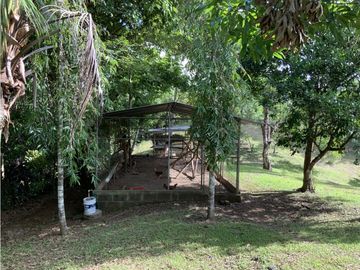 VENTA DE FINCA EN HERRERA, SECTOR OCU A ORILLA DE CARRETERA