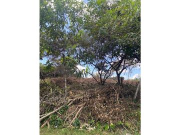 VENTA DE TERRENO EN LA MITRA, CHORRERA