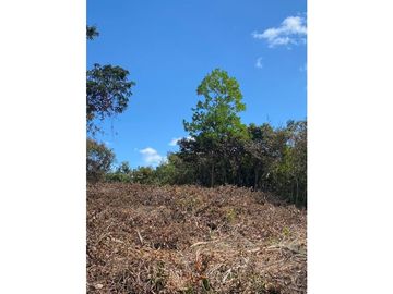 VENTA DE TERRENO EN LA MITRA, CHORRERA