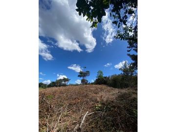 VENTA DE TERRENO EN LA MITRA, CHORRERA