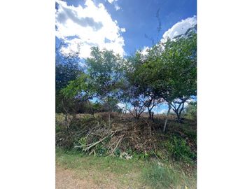 VENTA DE TERRENO EN LA MITRA, CHORRERA