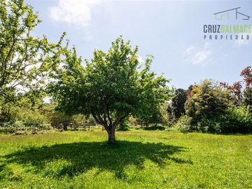 Parcela en Venta en Lago Ranco