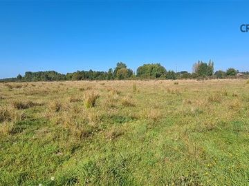 Parcela en Venta en Colonia San Martin